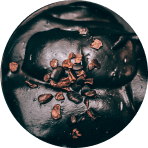 Choco Mousse